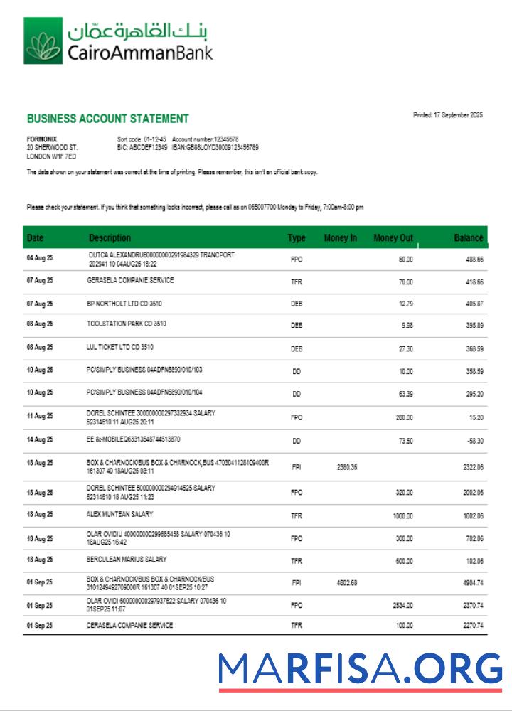 Downloadable Cairo Amman Bank organization checking account statement Word and PDF template